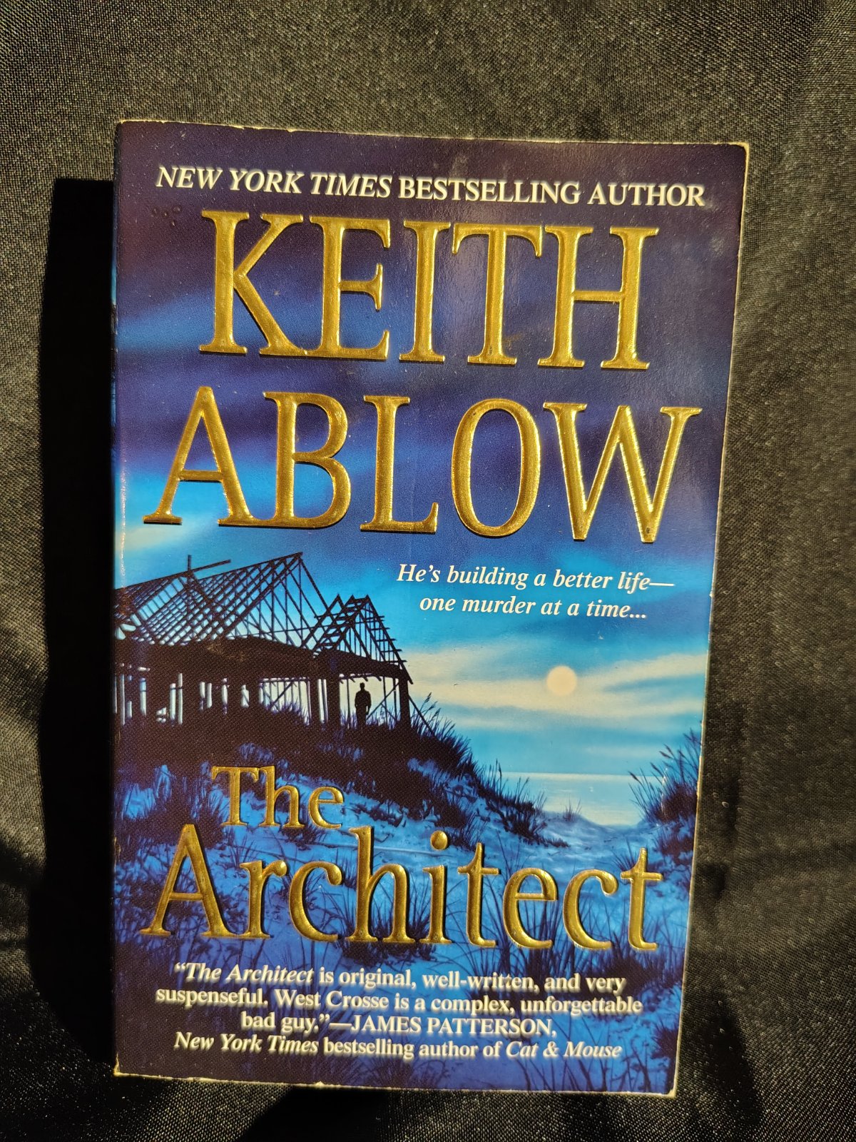 Photograph of The Architect (1 of 4)