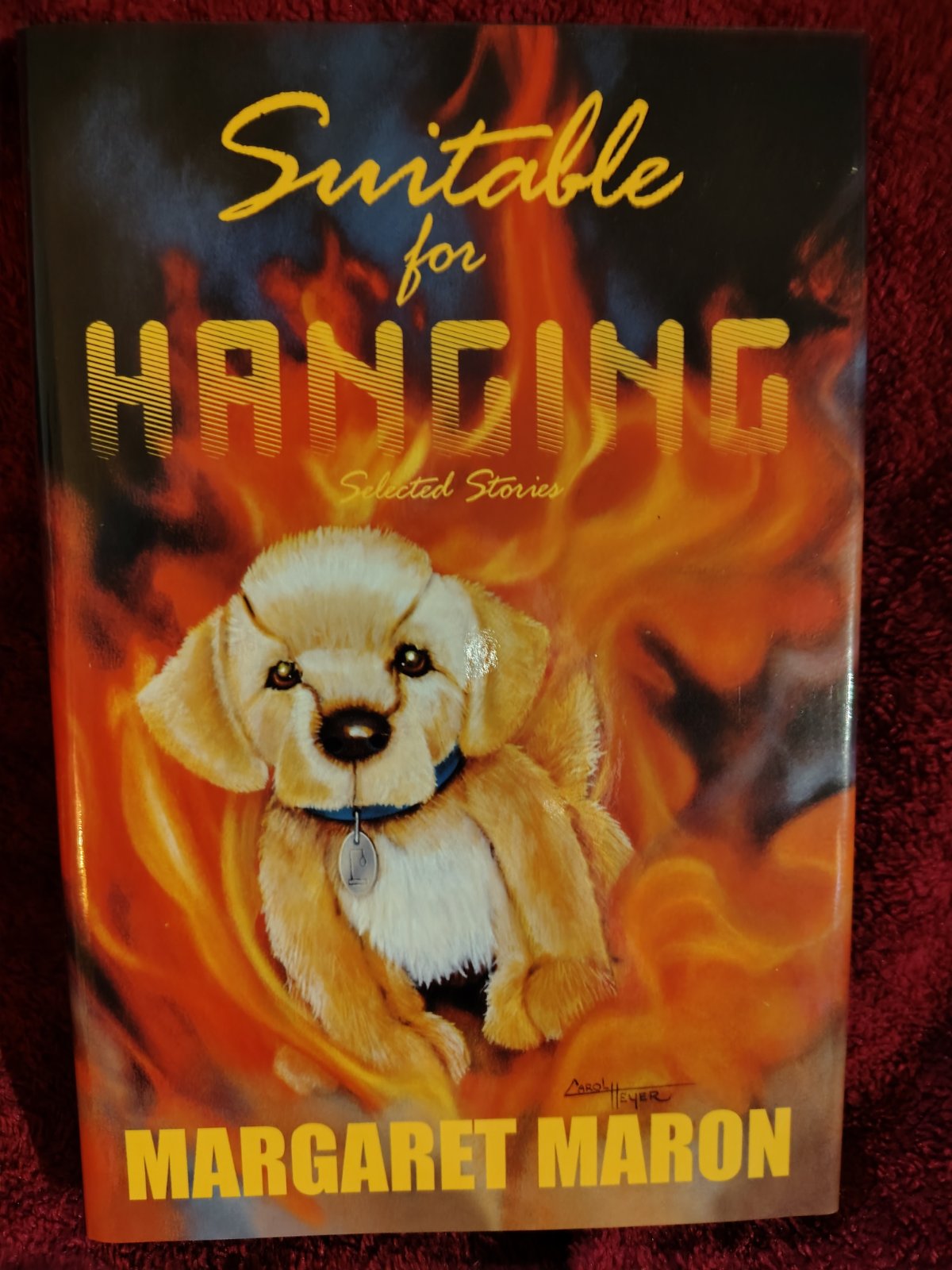 Photograph of Suitable for Hanging (1 of 3)