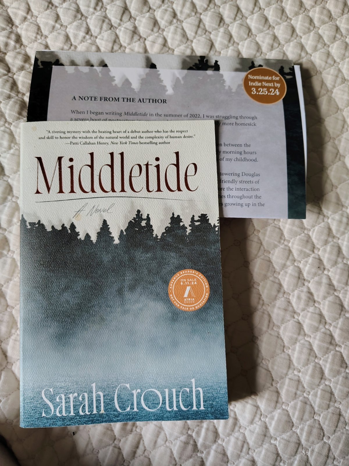 Photograph of Middle Tide (AR Edition)