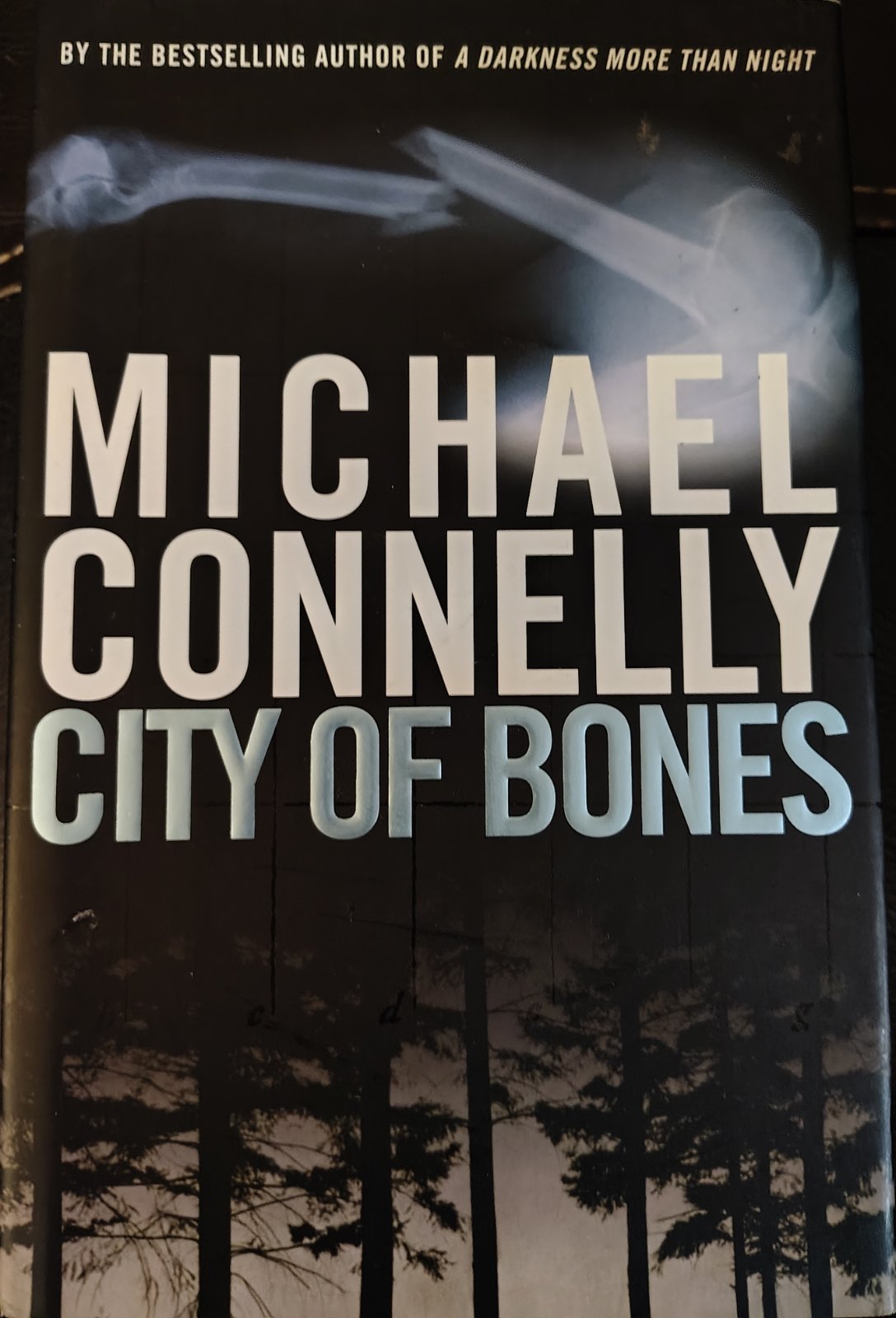 Photograph of City of Bones (1 of 3)